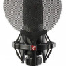 SE Electronics Isolation Pack-Shockmount & Pop Set подвес паук и поп-фильтр
