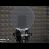 SE Electronics Isolation Pack-Shockmount & Pop Set подвес паук и поп-фильтр