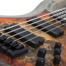 SCHECTER RIOT-5 Inferno Burst 5-струнная бас-гитара