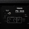 АКУСТИЧЕСКАЯ СИСТЕМА YERASOV PS-615