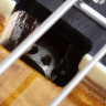 SCHECTER SLS ELITE-5 ANQFB 5-струнная бас-гитара