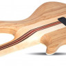SCHECTER SLS ELITE-5 ANQFB 5-струнная бас-гитара