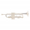 Труба "Bb" BACH 180 CUSTOM LR180S43G, Stradivarius