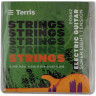Электрогитара в наборе TERRIS TPACK-TST-040 BK