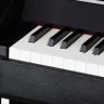 Celviano AP-470BK, фортепиано цифровое