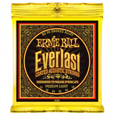 Комплект струн для акустической гитары Ernie Ball P02556, 12-54