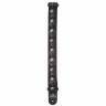 Ремень Planet Waves 50AL01 Alchemy Gothic™