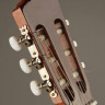 Perez 610 Cedar LTD 7/8 классическая гитара с чехлом