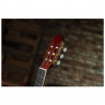Гитара классическая 4/4 PEAVEY CNS-2