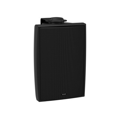 Акустическая система TANNOY DVS 4T всепогодная
