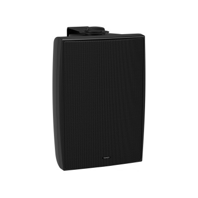 Акустическая система TANNOY DVS 6 всепогодная