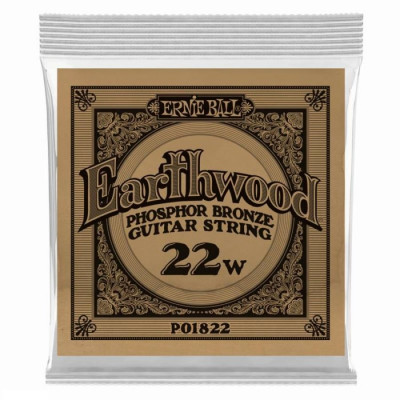 ERNIE BALL 1822 (.022) одна струна для акустической гитары
