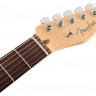 FENDER AM PRO TELE RW SNG электрогитара