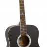 ROCKDALE AURORA 120-BK-S гитара с анкером