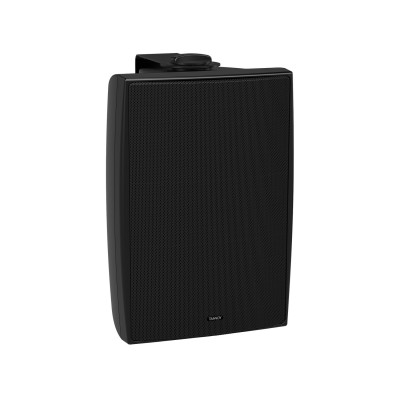 Акустическая система TANNOY DVS 6T всепогодная