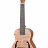 MARTIN ROMAS MR-02O 24 укулеле-концерт с чехлом