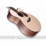 FURCH Blue Gc-SW акустическая гитара