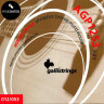 Комплект струн для акустической гитары 12-53 GALLI STRINGS AGP1253