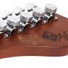 SCHECTER NICK JOHNSTON DS TRAD A.GREEN электрогитара