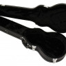 КЕЙС ARIA CG-120LP