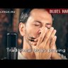 Hohner Blues Harp 532-20 MS A губная гармошка диатоническая