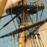 Сборная картонная модель Shipyard линкор HMS Victory (№67), 1/96