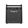 ROLAND PM-100 монитор для V-Drums 80 Вт