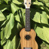 MARTIN ROMAS MR-02Z укулеле-концерт с чехлом