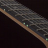 SCHECTER PT PRO TPB электрогитара