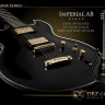 DBZ Imperial ST Black электрогитара