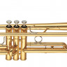 Труба Boston TR-203 Bb