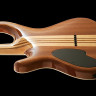MAYONES Regius 6М Transparent Graphite электрогитара