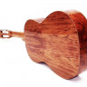 Antonio Sanches S-20 Cedar 4/4 классическая гитара