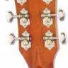Aria MF-240 MTN акустическая гитара