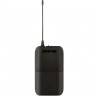 Shure BLX14RE/SM31 M17 радиосистема с головным микрофоном