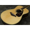 Yamaha FS830 N акустическая гитара уменьшенная