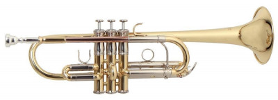 Труба Roy Benson TR-402C Bb/C