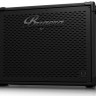 БАСОВЫЙ КАБИНЕТ BUGERA BT115TS