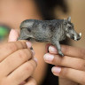 Фигурка Schleich Бородавочник