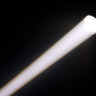 CHAUVET LED Pinspot 2 светодиодный прожектор точечного освещения