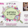 Картина по номерам с цветной схемой 40х50 ФЛАМЕНКО (28 цветов)