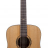 BATON ROUGE AR11C D акустическая гитара