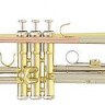 Труба Roy Benson TR-202 Bb в наборе- стойка, пюпитр, кейс