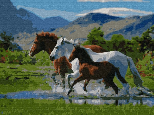 Картина по номерам с цветной схемой на холсте (30х40) ВОЛЬНЫЙ ВЕТЕР (19 цветов)