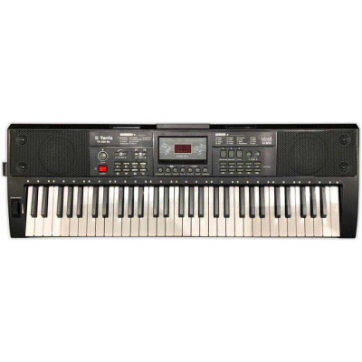 Синтезатор TERRIS TK-250 BK