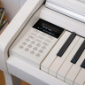 Цифровое пианино Kawai KDP120R банкетка в комплекте