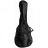 Гитара классическая 4/4 в наборе FLIGHT C-120 NAT PACK