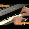 Casio Privia PX-860BK цифровое пианино