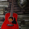 Crafter MD 42 TR WC акустическая гитара