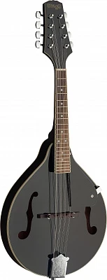 STAGG M20 BLK мандолина